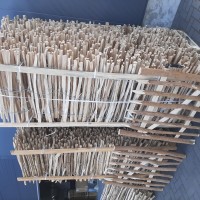 Klik om te vergroten